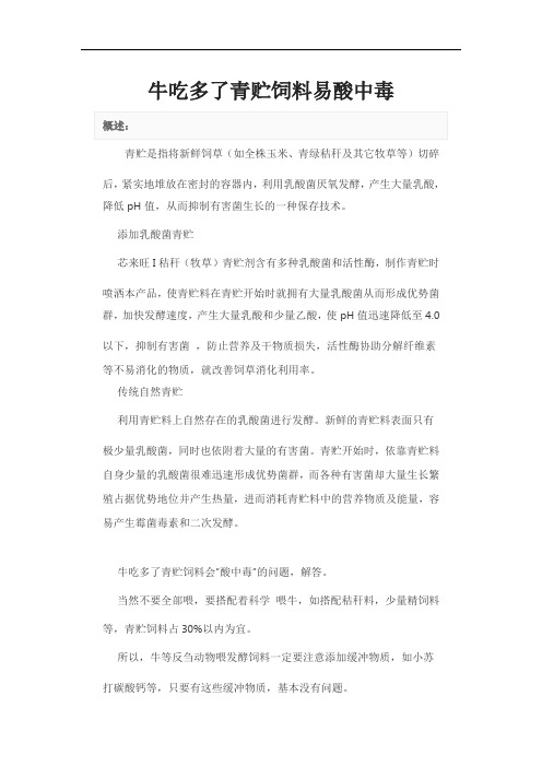 牛吃多了青贮饲料易酸中毒