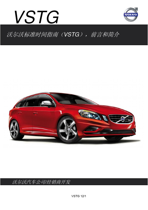 VSTG_cn