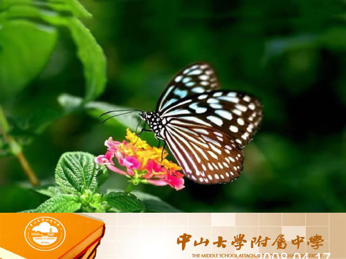 初中作文指导：记叙文升格训练——切题PPT优秀课件