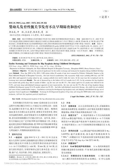 婴幼儿发育性髋关节发育不良早期筛查和治疗_郭永成