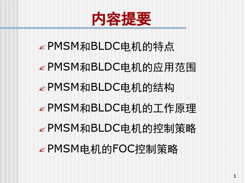 PMSM和BLDC电机演示幻灯片