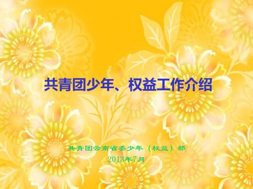 少年权益工作介绍201307
