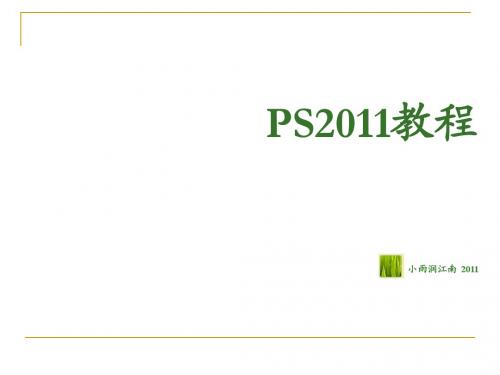 PS2011教程