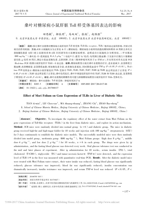 桑叶对糖尿病小鼠肝脏Toll样受体基因表达的影响_田思敏