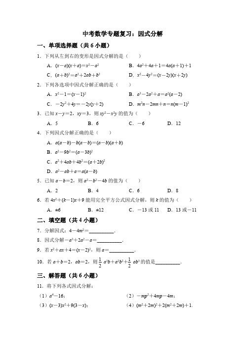 中考数学专题复习：因式分解