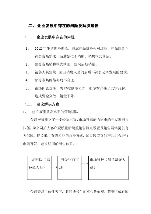 企业发展中存在的问题及解决建议