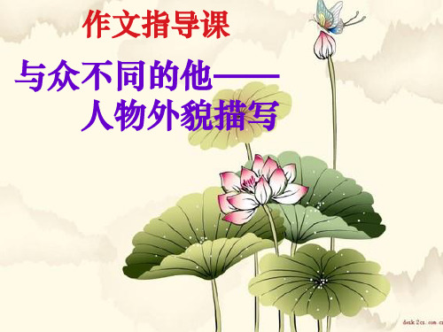 初中作文指导课人物外貌描写ppt课件