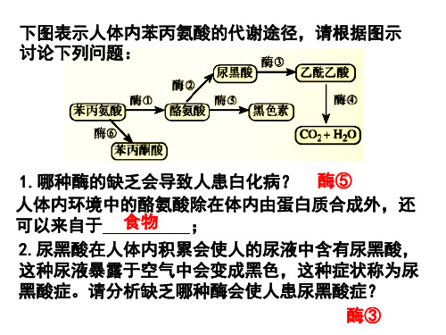 粘多糖贮积症