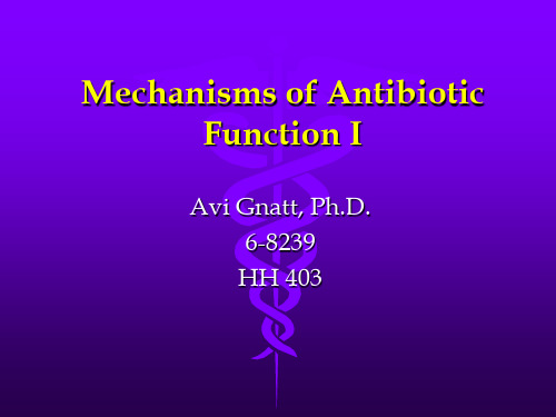 抗生素作用机制(英文PPT)Antibiotics that Inhibit Cell Wall S