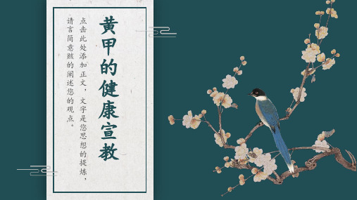 黄甲的健康宣教
