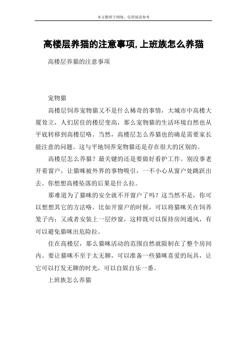 高楼层养猫的注意事项,上班族怎么养猫