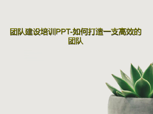 团队建设培训PPT-如何打造一支高效的团队共48页