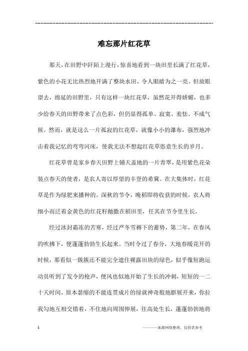 难忘那片红花草_六年级作文