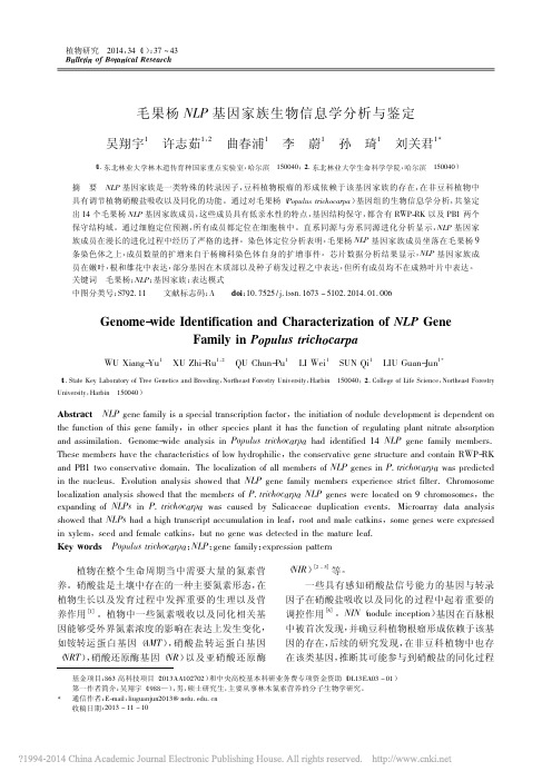 毛果杨NLP基因家族生物信息学分析与鉴定_吴翔宇.