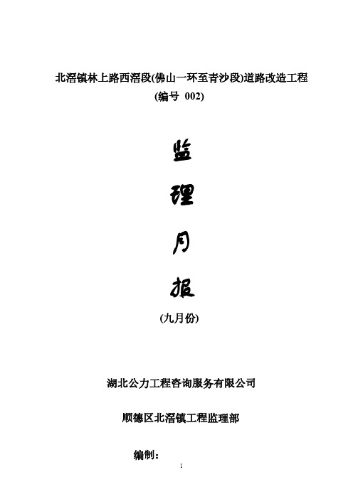 【VIP专享】道路监理月报9月份