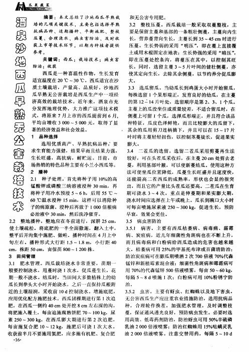 酒泉沙地西瓜早熟无公害栽培技术