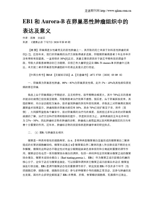 EB1和Aurora-B在卵巢恶性肿瘤组织中的表达及意义