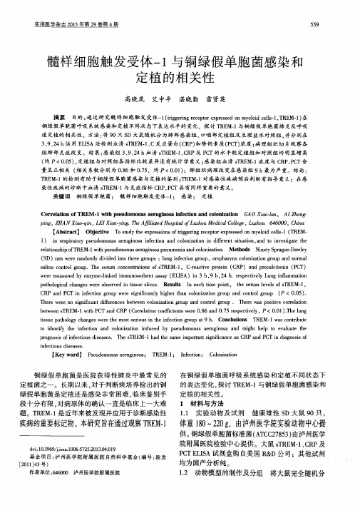 髓样细胞触发受体-1与铜绿假单胞菌感染和定植的相关性