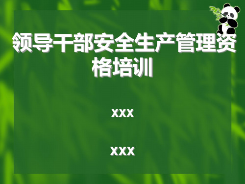 领导干部安全生产培训教材000.pptx