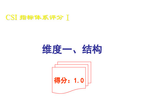 《CSI指标体系评分》PPT课件