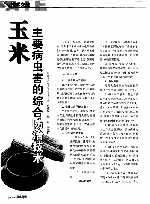 玉米主要病虫害的综合防治技术