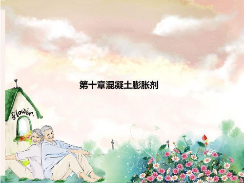 第十章混凝土膨胀剂
