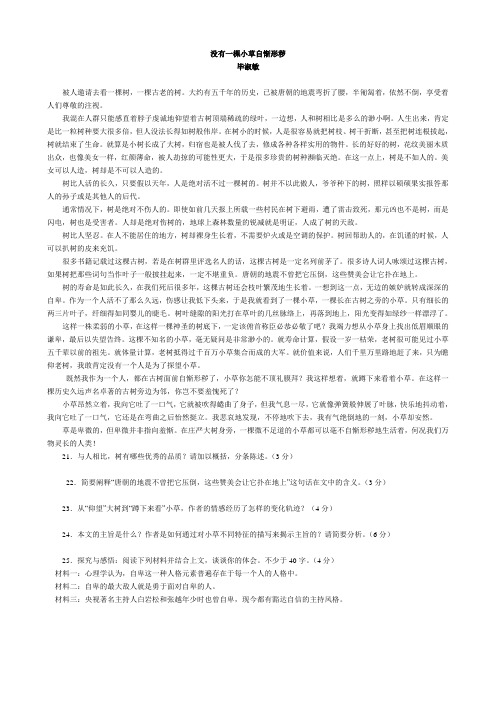 没有一棵小草自惭形秽