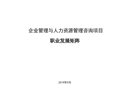 职业发展矩阵
