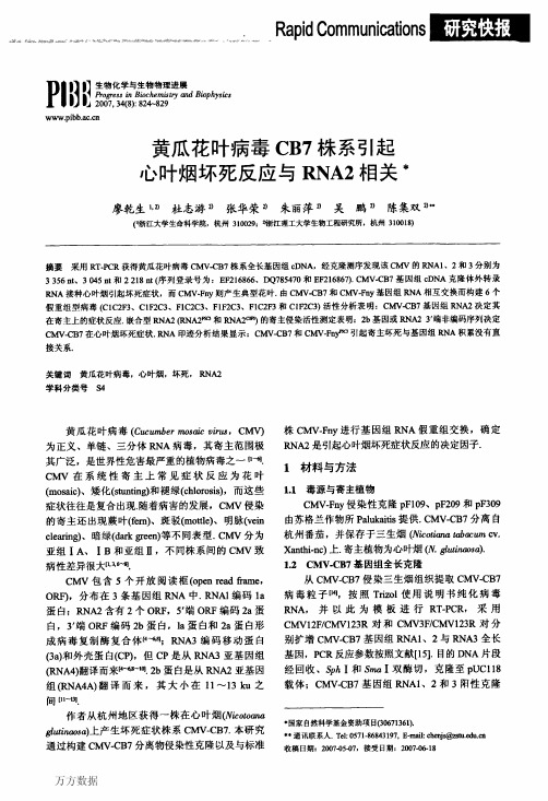 黄瓜花叶病毒CB7株系引起心叶烟坏死反应与RNA2相关