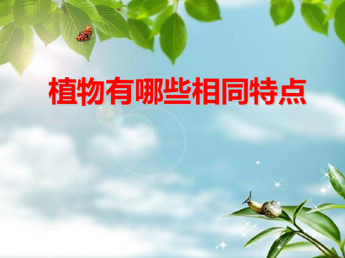 小学三年级上册科学 《植物有哪些相同点》植物PPT优秀课件