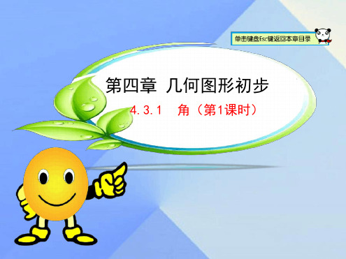 七年级数学上册431角第1课时课件新版新人教版