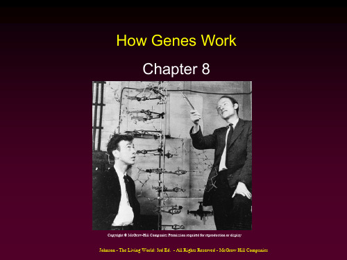 The Science of Biology Chapter08