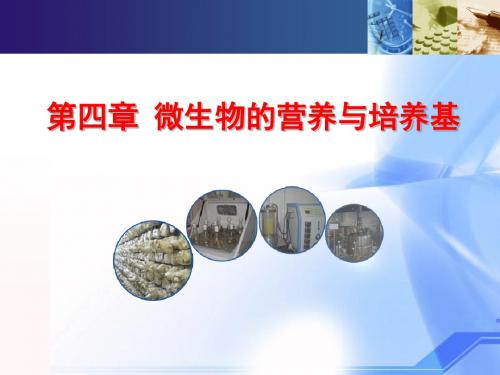 04 第四章 微生物的营养与培养基