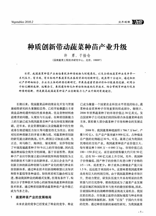 种质创新带动蔬菜种苗产业升级