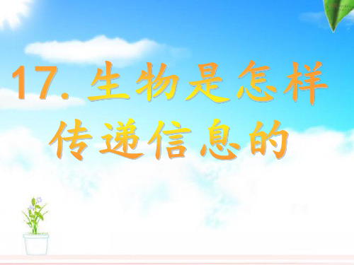 青岛小学科学六下《17、生物是怎样传递信息的》PPT课件 (7)