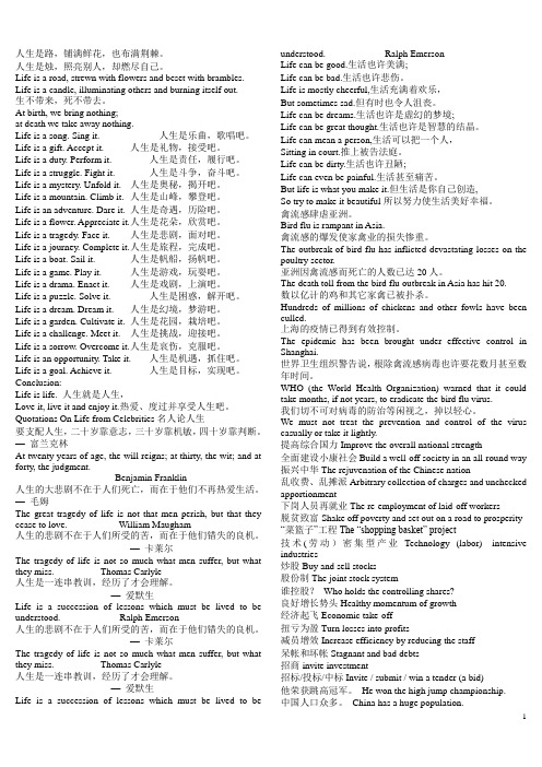 翻译技巧与实践