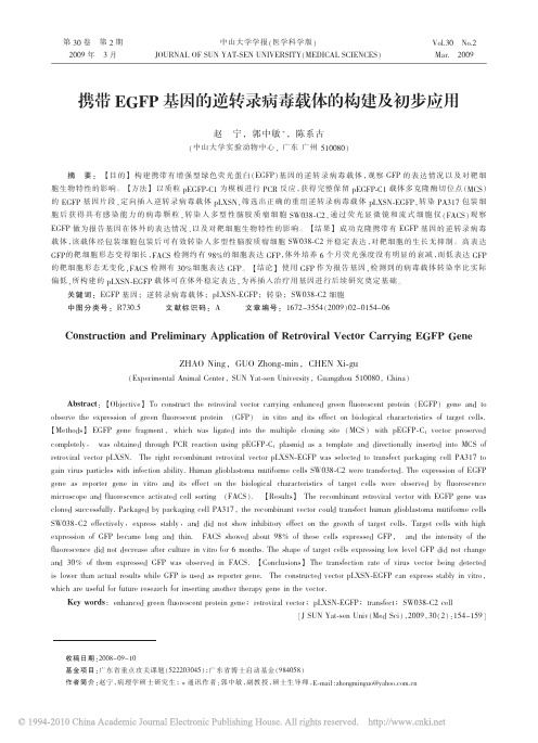 携带EGFP基因的逆转录病毒载体的构建及初步应用_赵宁