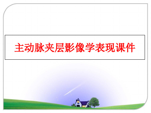 最新主动脉夹层影像学表现课件