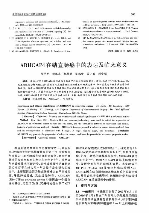 ARHGAP4在结直肠癌中的表达及临床意义