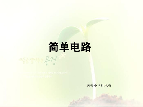 四年级科学下册PPT课件(教科版)第一单元