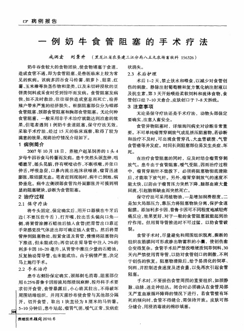一例奶牛食管阻塞的手术疗法
