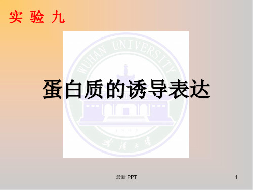 蛋白诱导表达分子生物学实验精品课件