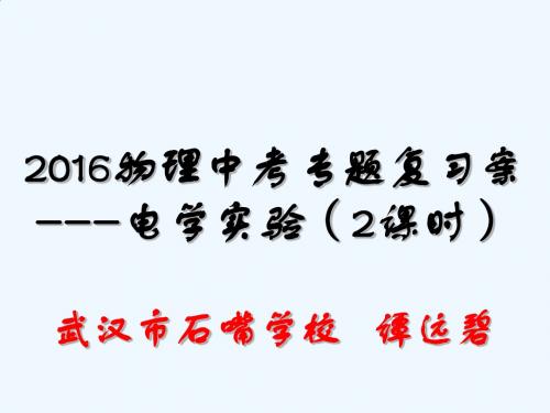 物理人教版九年级全册实验--电学专题