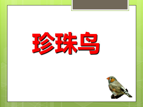 五年级语文下册课件7.珍珠鸟∣语文S版 (共39张PPT)