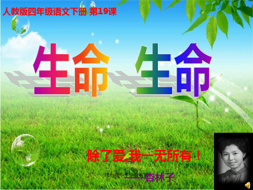 人教版小学四年级下册语文生命生命教学PPT课件