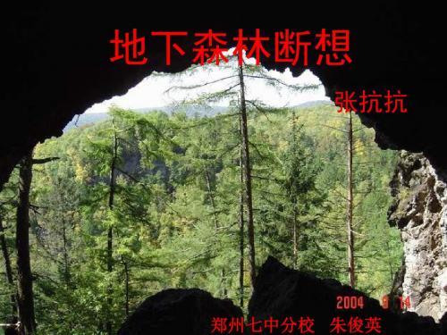 九年级语文地下森林断想1(新编2019教材)
