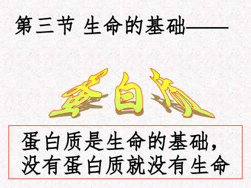 高中化学蛋白质(课堂PPT)