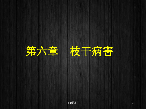 园林植物枝干病害  ppt课件