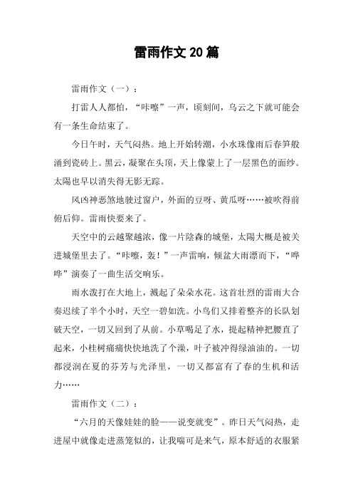 雷雨作文20篇
