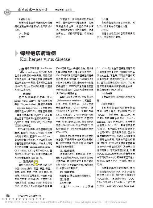 2010锦鲤疱疹病毒病_陈爱平